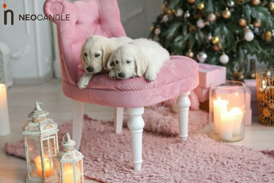 Are Scented Candles Bad For Dogs? Let's Find Out!