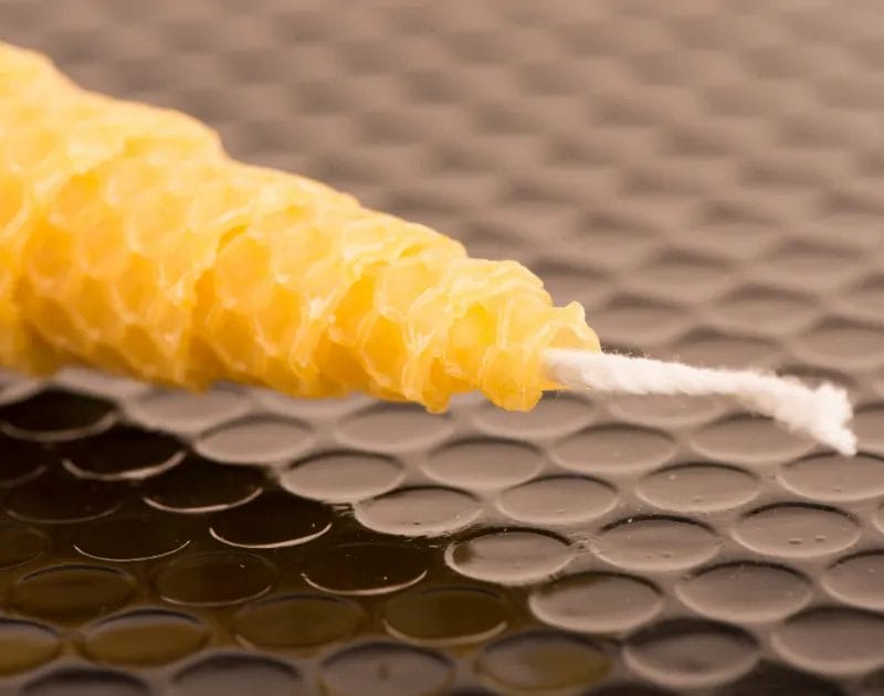Why Choose Beeswax Candles