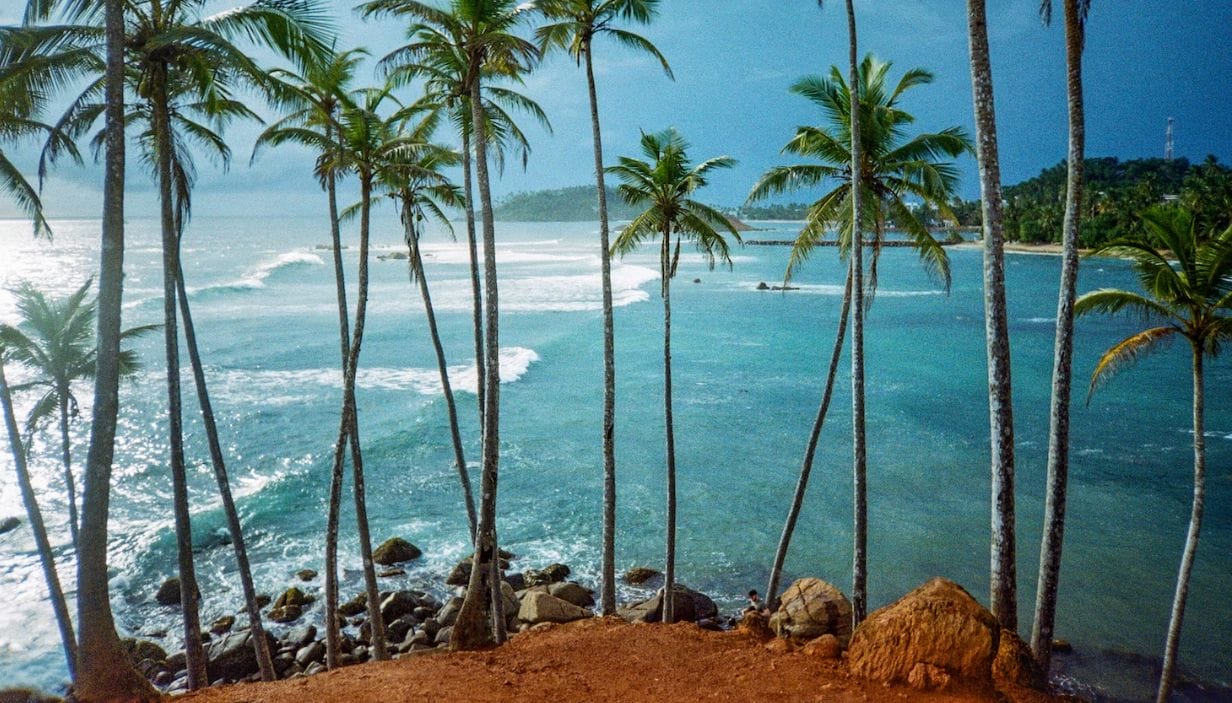 Coconut Wax Vs Soy Wax For Candle Making; Which Is Best?