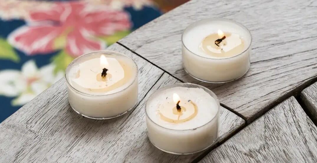 Indoor Citronella Candle – Are They Safe To Use Inside?