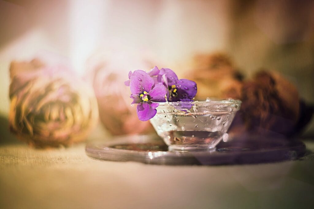What Are Water Candles?