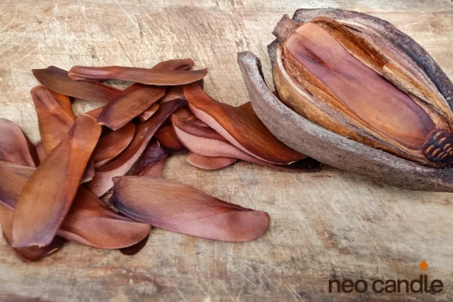 What Does Mahogany Smell Like