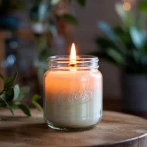 Blackberry Vanilla Scented Candle Premium Fruit-Infused Aromatic Blend